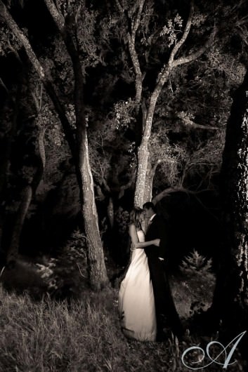 allison_adam_wedding-bride and groom by moonlight in the forest at hans fahden winery - calistoga, ca