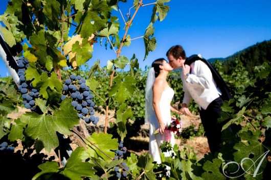 deana-and-nick-wedding-bride and groom in the vineyard at Hans Fahden winery in Calistoga- wine country wedding