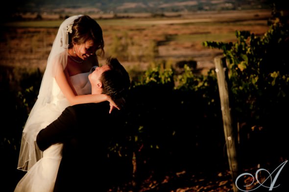 viansa-winery-wedding-vineyard-sonoma-ca-1