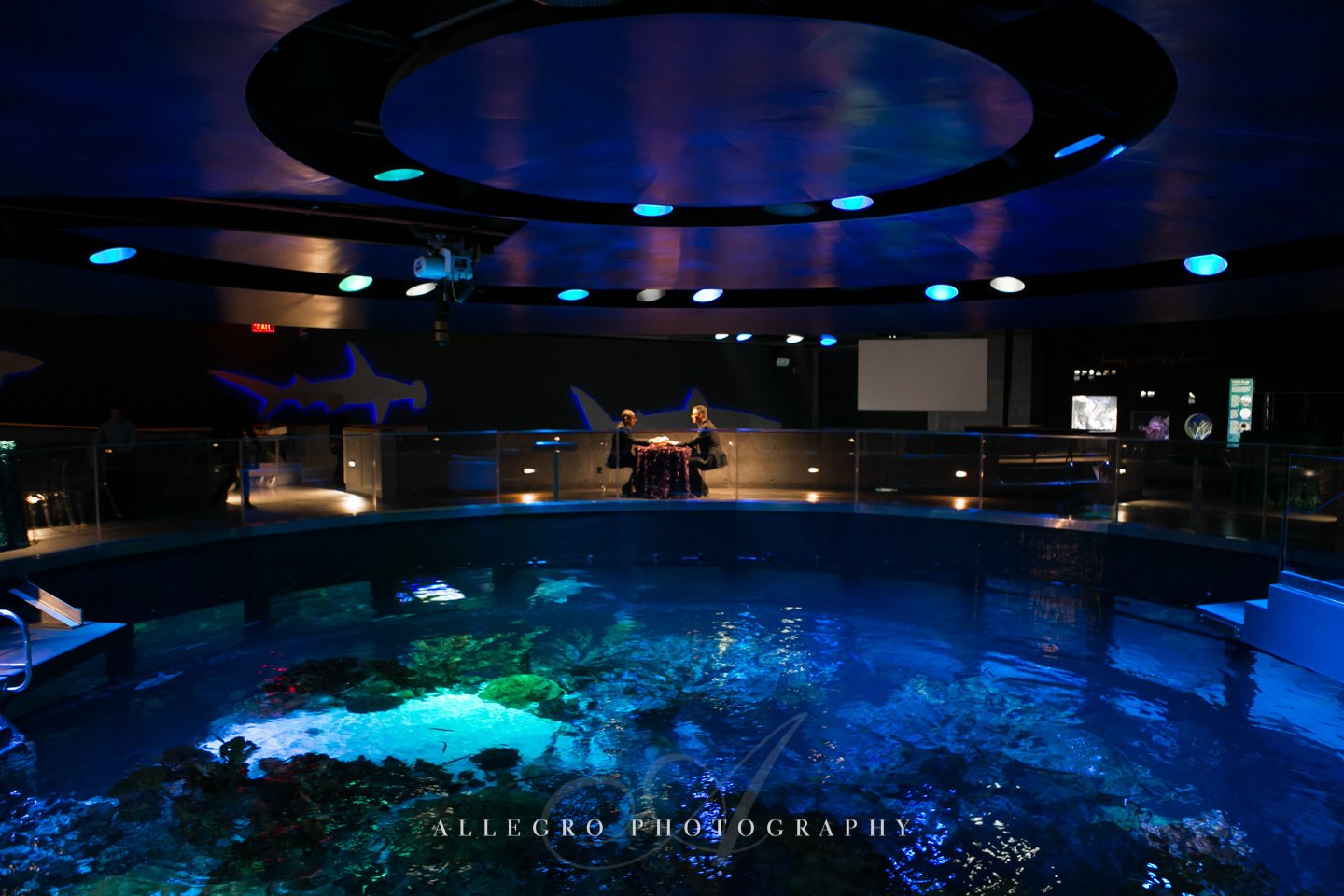 New England Aquarium Wedding: Craig + Michael | Allegro Photography