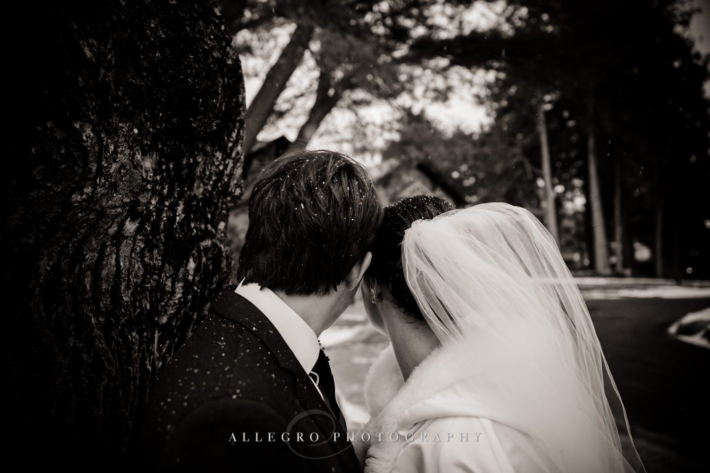 snowy bride and groom- photo by allegro photography