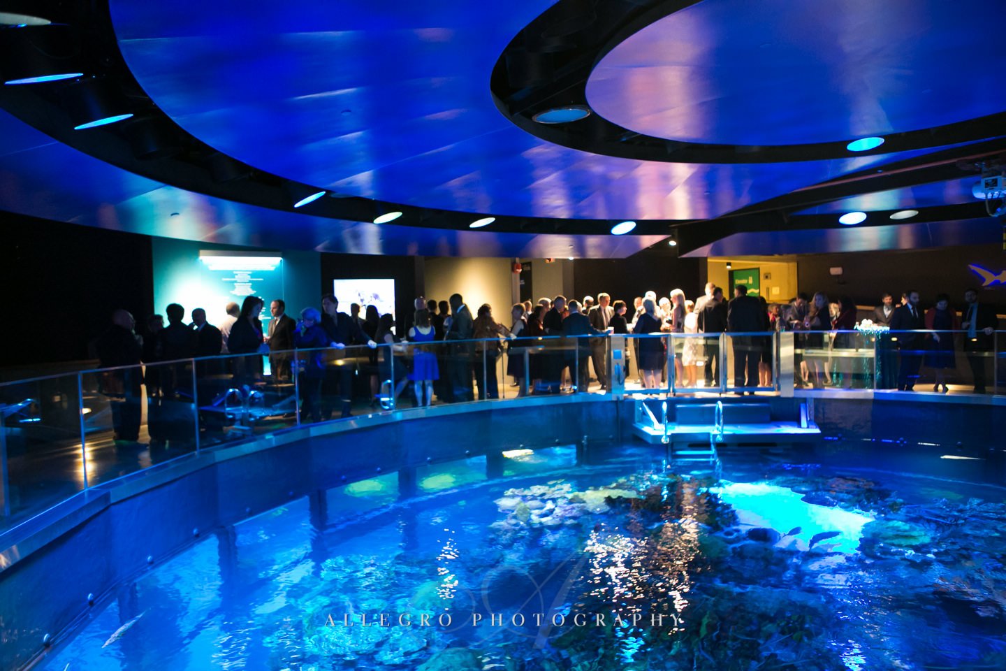 aquarium boston cocktail hour with fish- photo by Allegro Photography