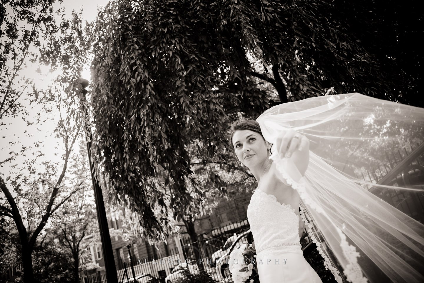 bride with veil photo by Allegro Photography