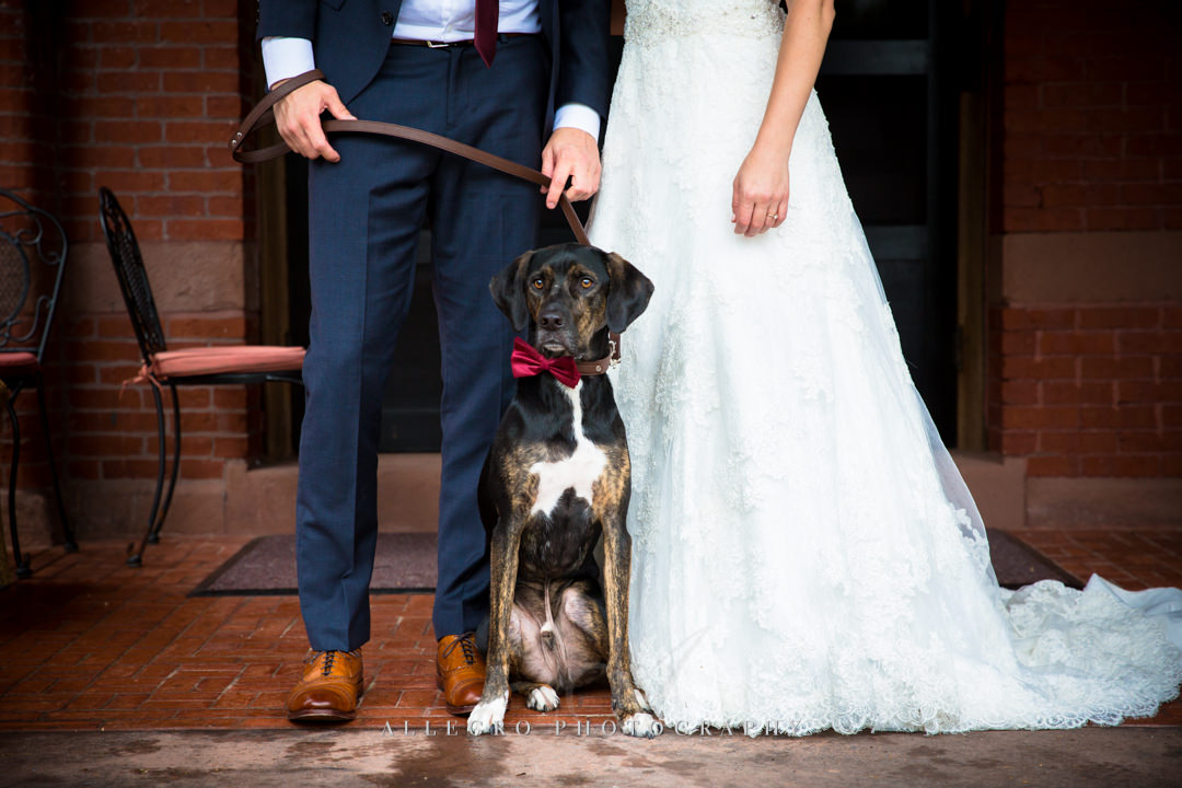 bridal portraits with dog stevens estate - photo by allegro photography