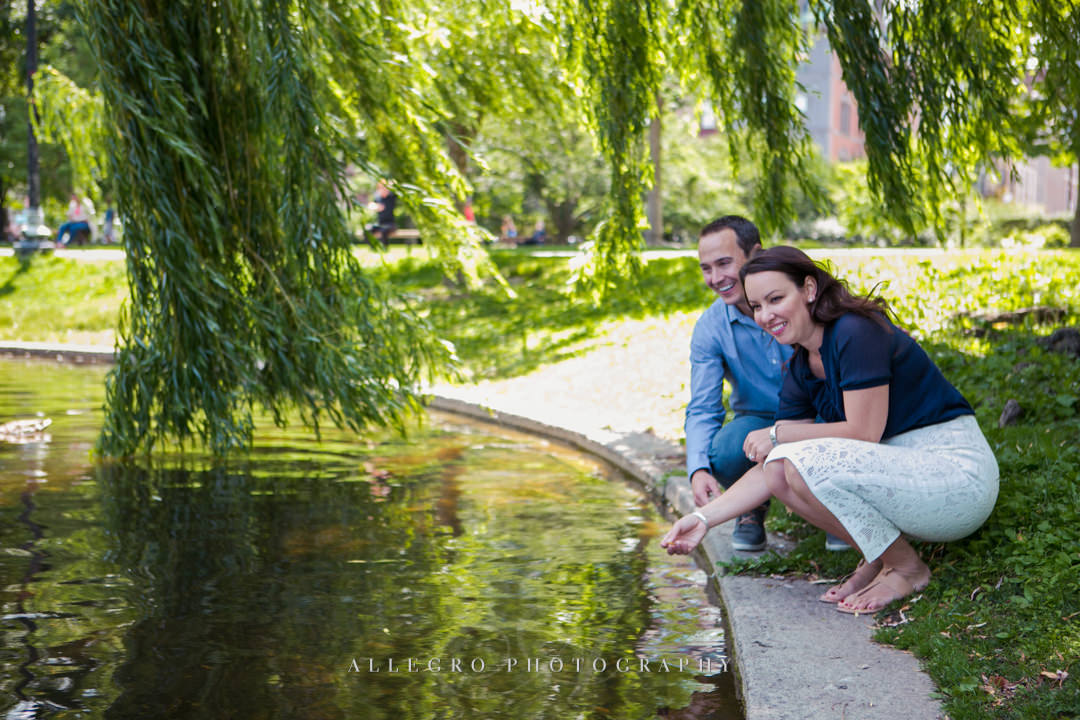 boston public gardens - photographed by allegro photography