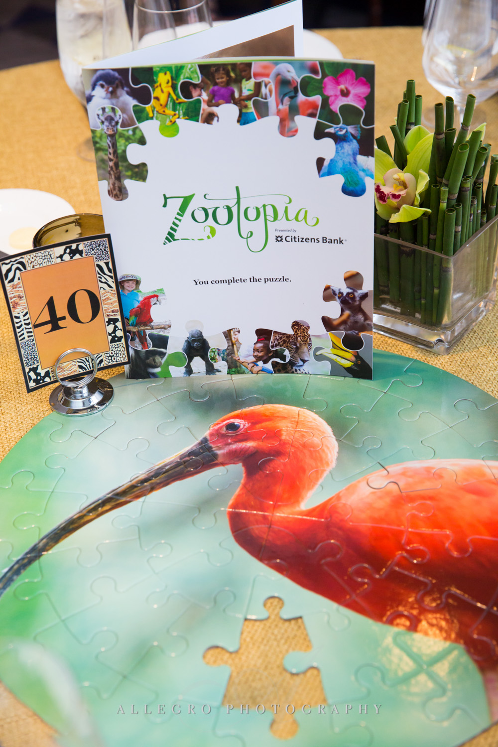new england zoo event - photographed by allegro photography