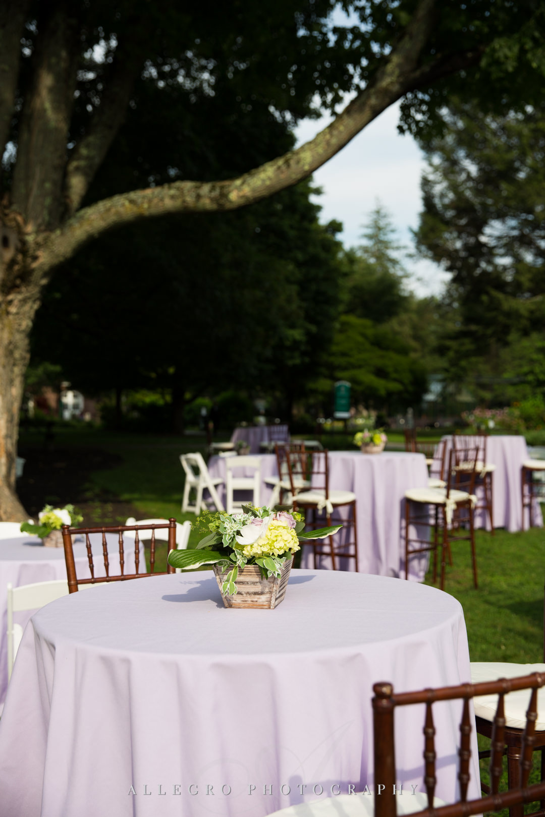 allegro photography: purple summer wedding outdoor reception with flowers and chevalier chairs