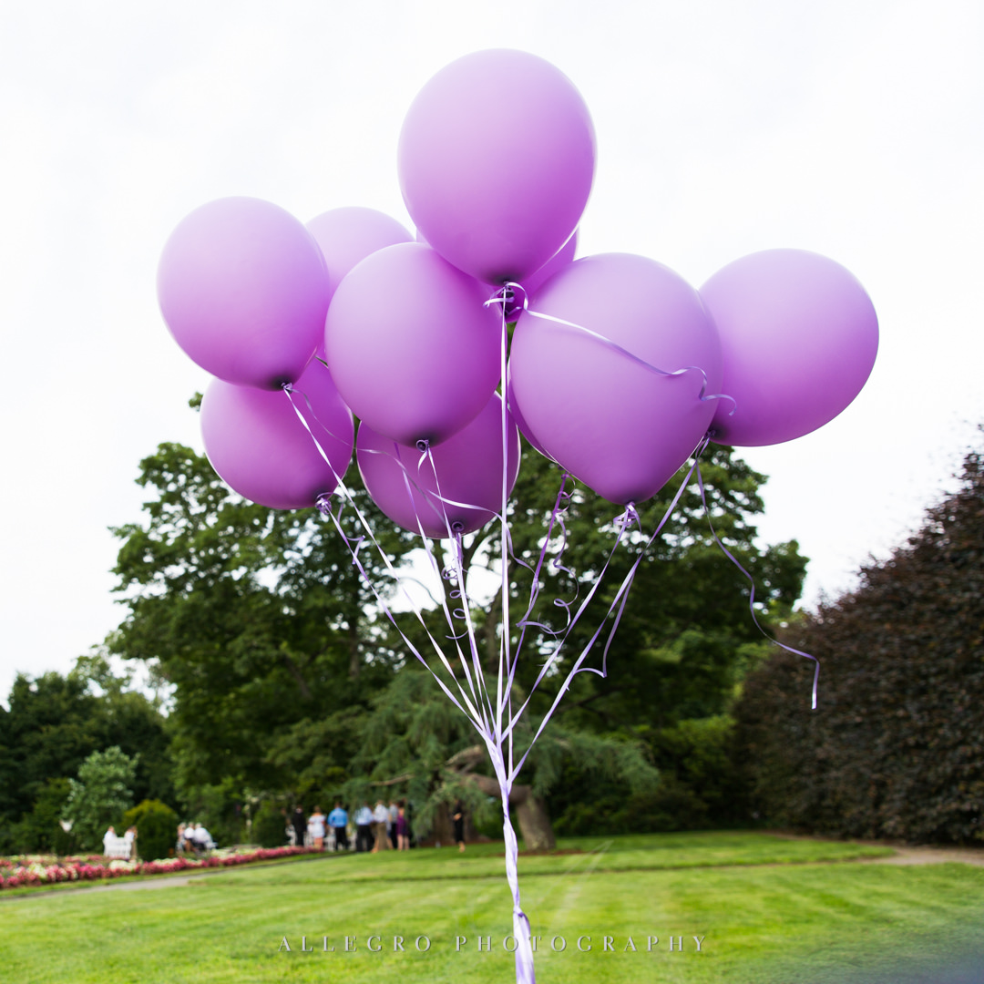 allegro photography: purple balloons in italianate garden at elm bank