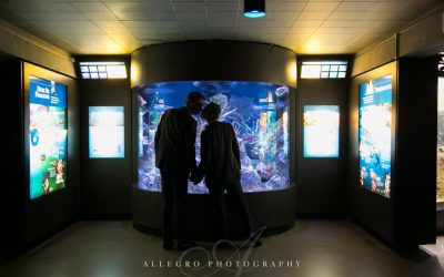 New England Aquarium Wedding: Craig + Michael